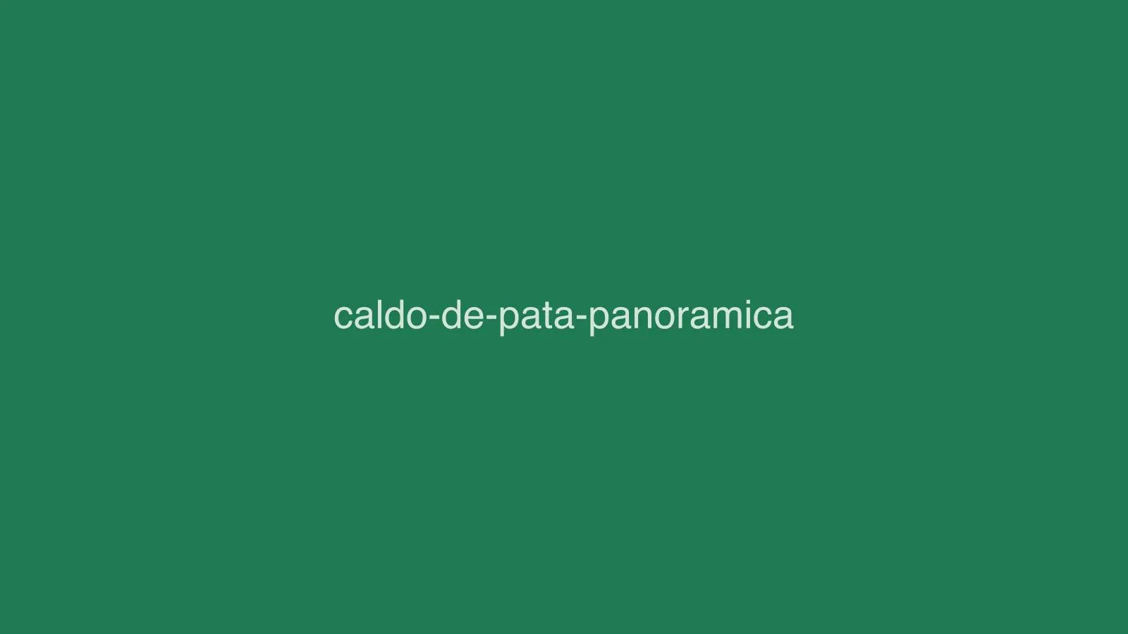 Caldo de pata