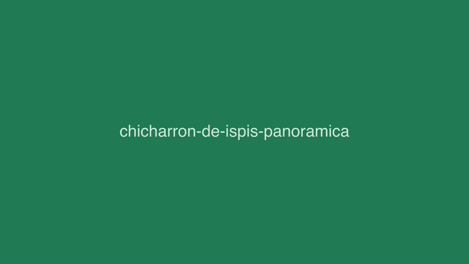 Chicharrón de ispis