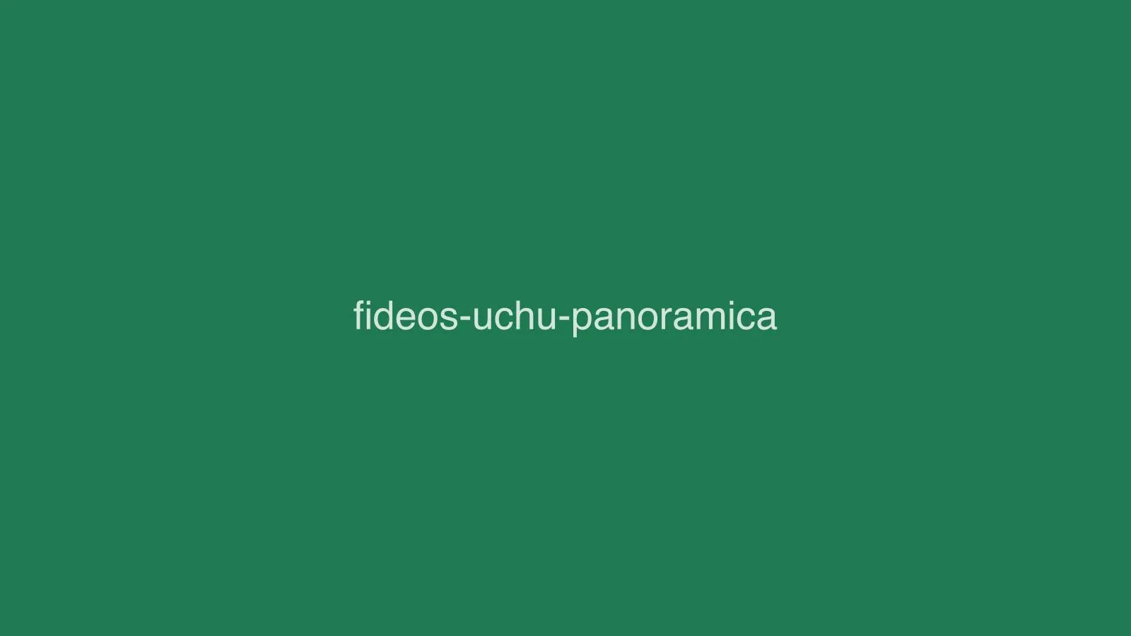 Fideos uchu