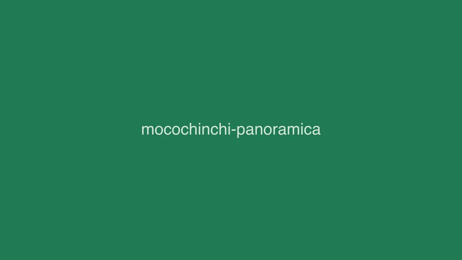 Mocochinchi