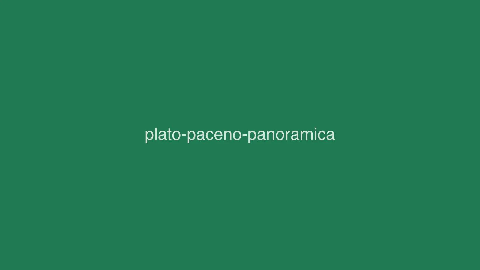 Plato paceño